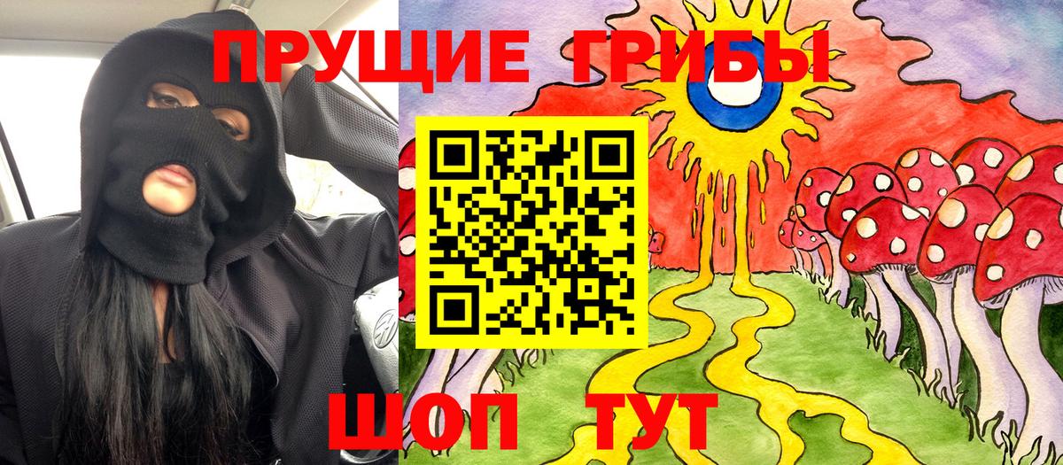 Галлюциногенные грибы Cubensis  Вход с VPN  Бузулук 